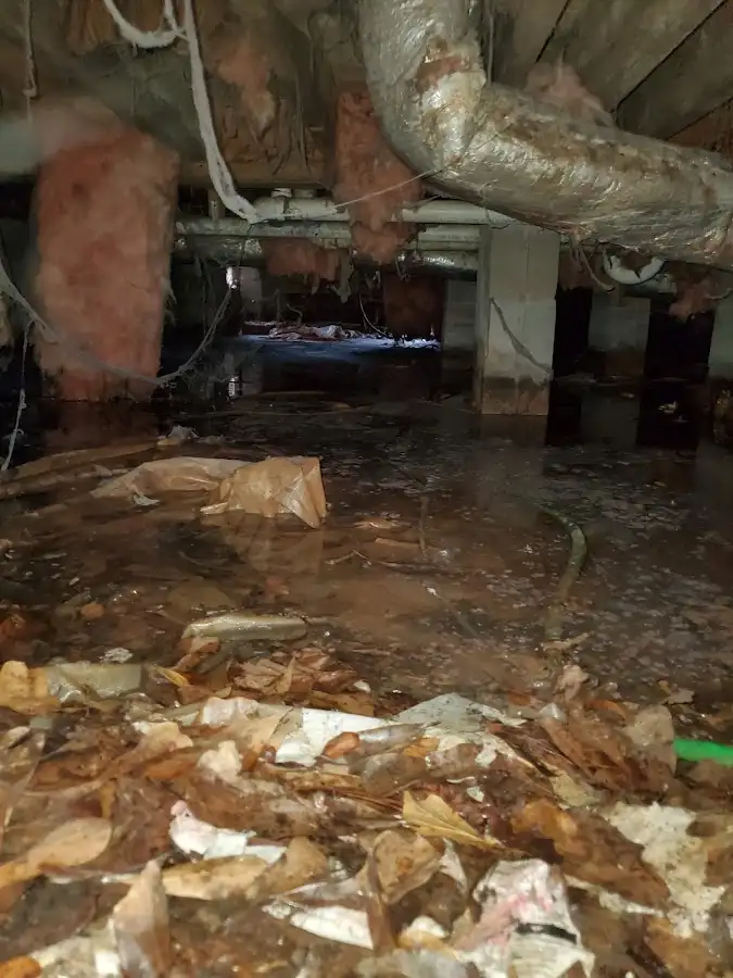 Crawl space flood assessment for Leak Detection & Repair in Rosemead